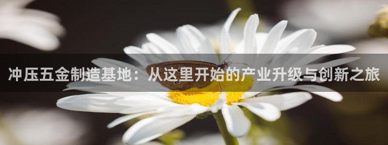 天宏娱乐国际会所