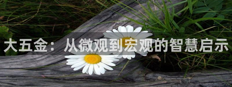 天亿娱乐宏发骗子