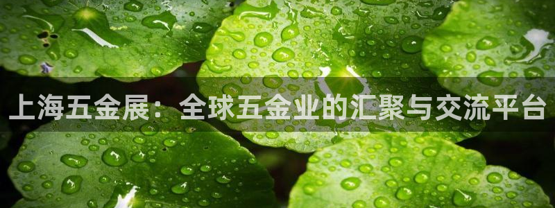 宏天娱乐会所怎么样