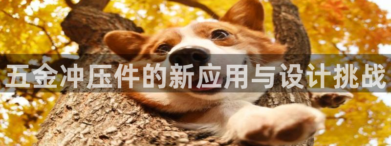天宏娱乐的秦叔