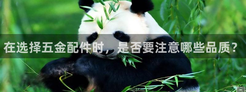 天宏娱乐2主管
