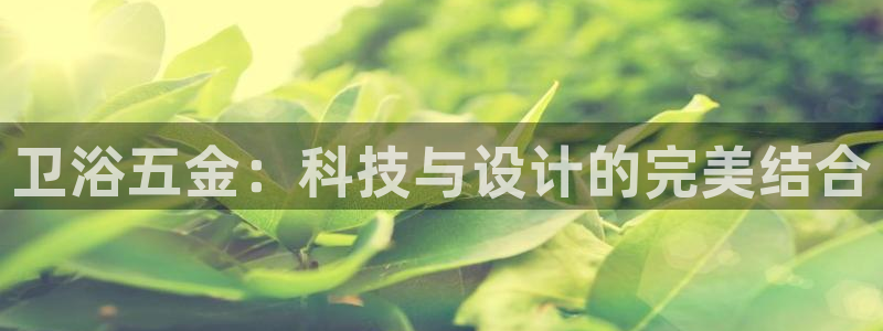 天宏娱乐男神