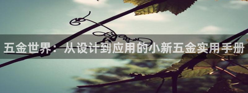 天宏娱乐直播怎么样