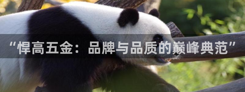 秦皇岛天宏娱乐