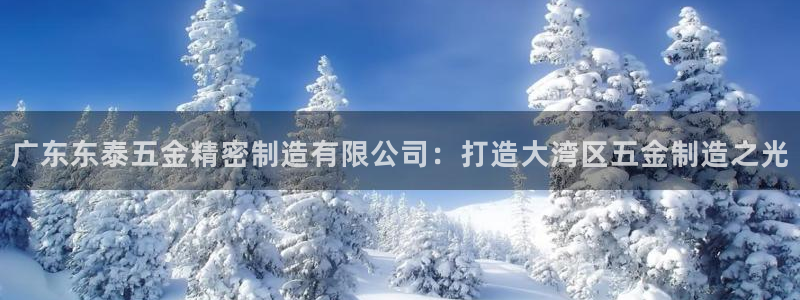 天亿娱乐宏发骗子