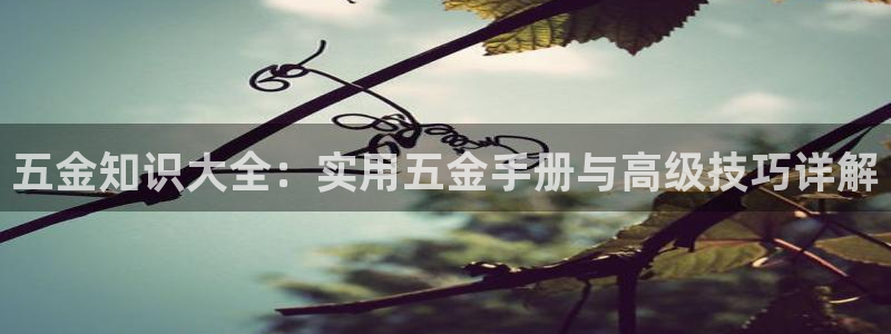天宏娱乐星空大叔