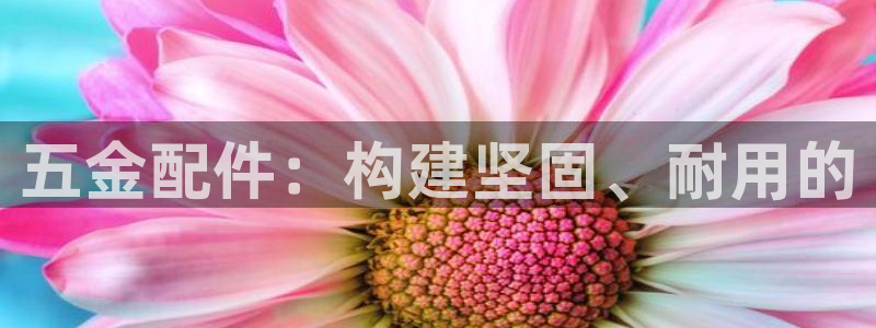 天宏娱乐魂师对决