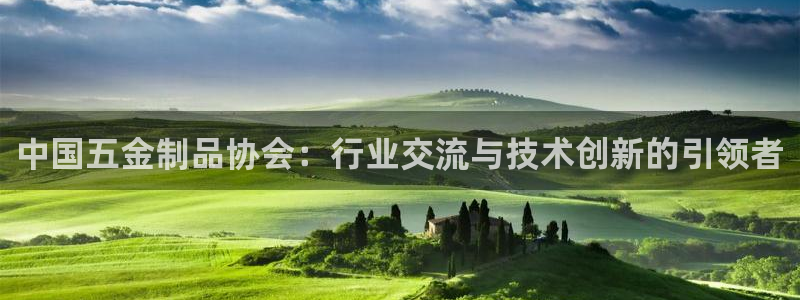 天宏娱乐老秦