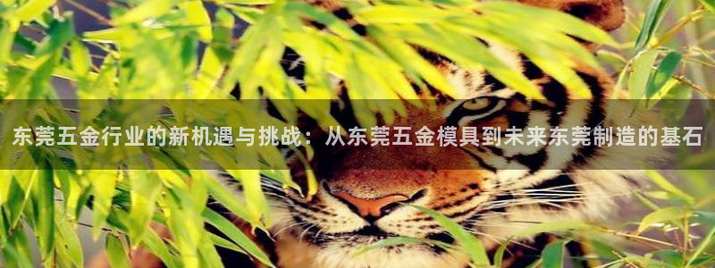 天宏娱乐小号怎么玩