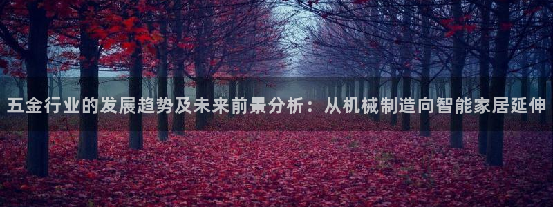 义宏娱乐林天毅
